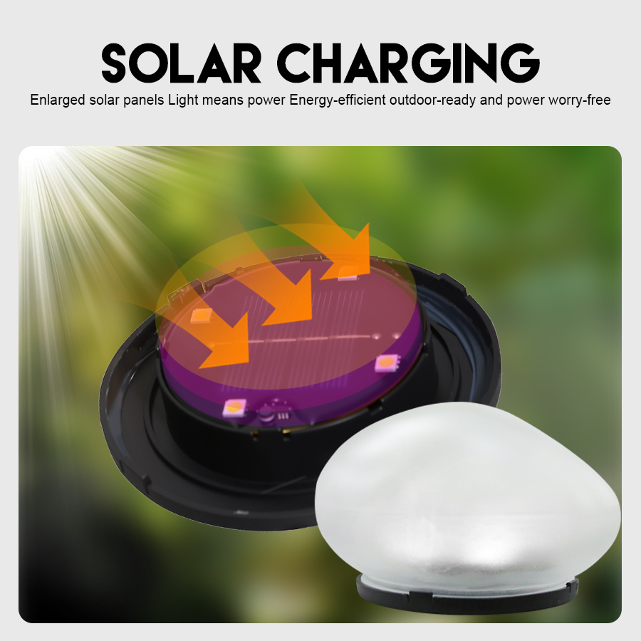 Solar Decorative Lamp Frosted  - Outdoor Lighting On House ulasan dan harga